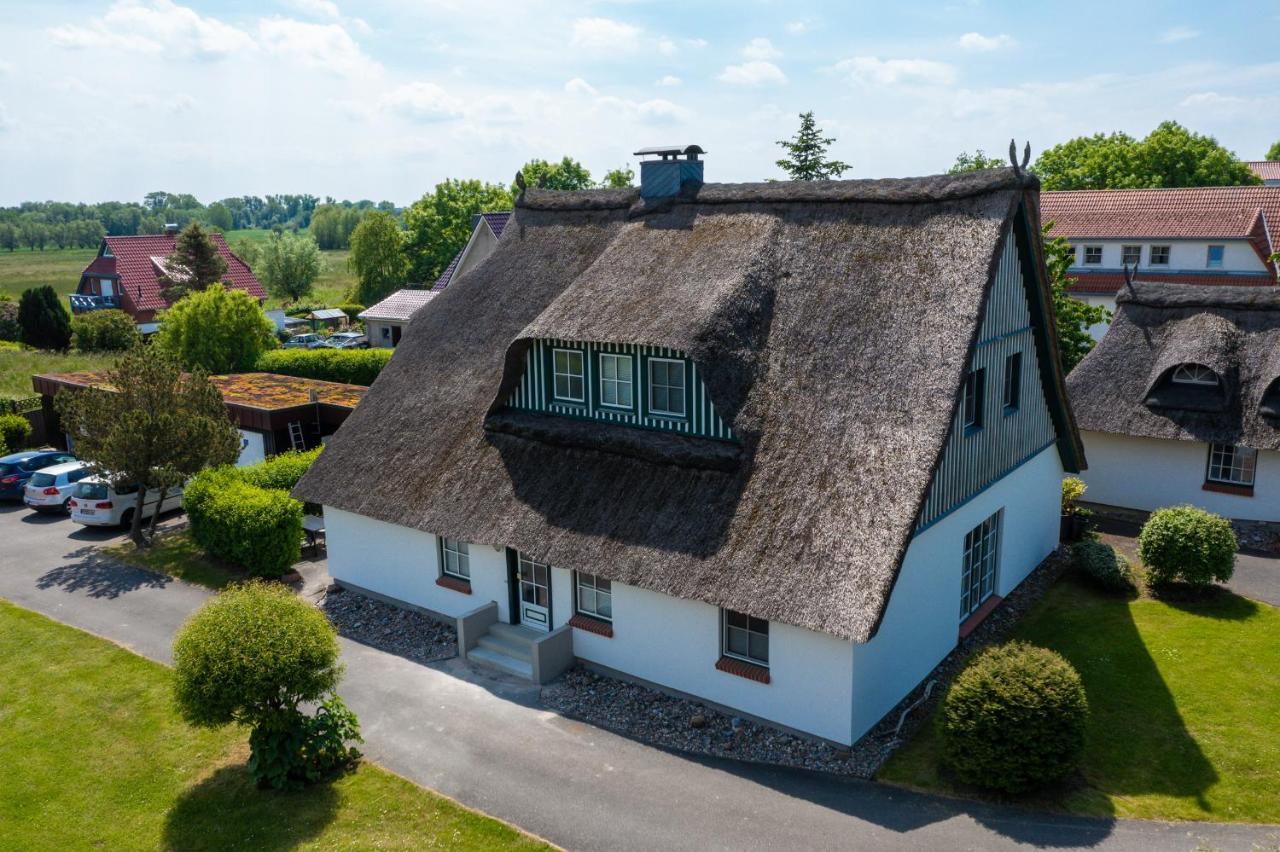 An Der Steilkueste Wohnung 02 Boltenhagen  Eksteriør bilde